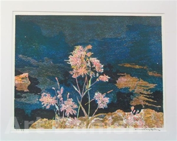Hans Nygren Strandaster